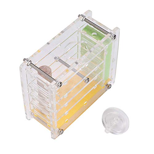 Huairdum Acryl Ameisennester, Villa Farm House 120g Formicarium mit 3,5x1,4x3,1 Zoll Größe für Ameisen Fütterung Zubehör von Huairdum
