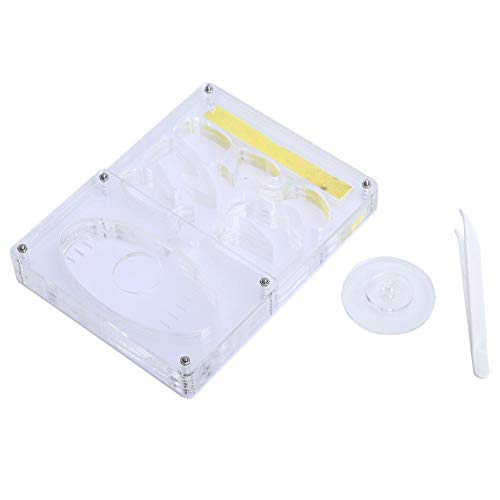 Huairdum Ameisennester der Kindertagesstätten-3D, Acrylfarm Formicarium-transparente Insekten-Nester, die System-Ameisen-Kasten für Ameisen-Insekt einziehen Huairdum Ameisennester der Kindertagesstätten-3D, Acrylfarm Formicarium-transparente Insekten-Nester, die System-Ameisen-Kasten für Ameisen-Insekt einziehen von Huairdum