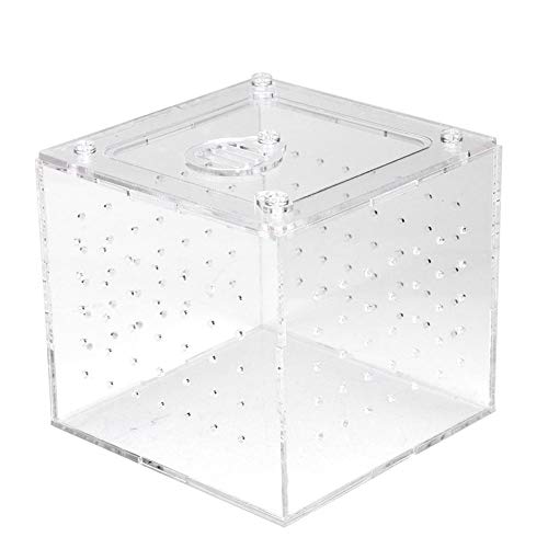 Huairdum Reptil Acryl Box, Insekten Haus Reptil Terrarium Feeder Schlangen Spinne Eidechse Zucht Acryl Box Fall mit 3,9 x 3,9 x 3,5 Zoll Größe für Geckos Grillen Schnecken von Huairdum