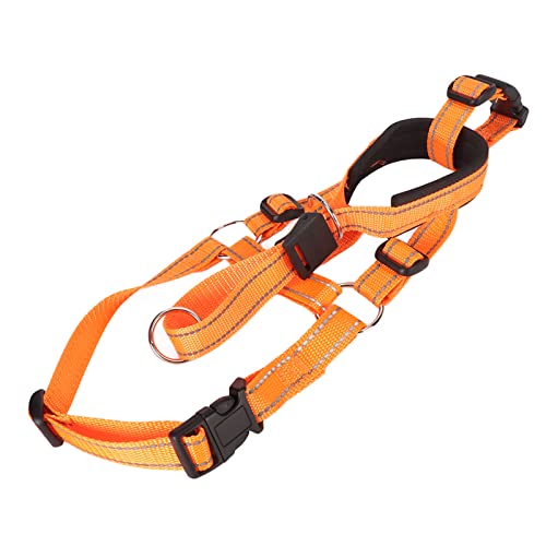 Huairdum Hundemaulkorb mit Halfter, Verstellbares Orangefarbenes Halsband. Hundemaulkorb Verhindert Bellen. Atmen Sie Beim Spazierengehen (M) von Huairdum
