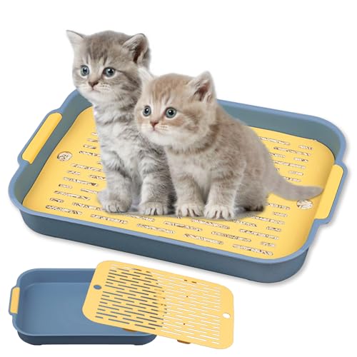 Tablett Hasentoilette, Tablett Haustier Toilette, Katzenklo Groß, Kaninchentoilette, Kleintier Katzentoilette Töpfchentrainer, Katzentoilette für Kleintier Kaninchen Meerschweinchen (Blau Groß) von Huanmin