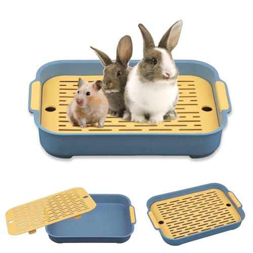 Tablett Hasentoilette, Tablett Haustier Toilette, Katzenklo Groß, Kaninchentoilette, Kleintier Katzentoilette Töpfchentrainer, Katzentoilette für Kleintier Kaninchen Meerschweinchen (Blaue Trompete) von Huanmin