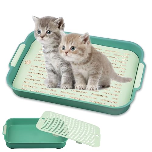 Tablett Hasentoilette, Tablett Haustier Toilette, Katzenklo Groß, Kaninchentoilette, Kleintier Katzentoilette Töpfchentrainer, Katzentoilette für Kleintier Kaninchen Meerschweinchen (Grün Groß) von Huanmin