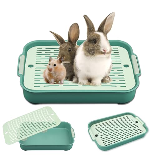 Tablett Hasentoilette, Tablett Haustier Toilette, Katzenklo Groß, Kaninchentoilette, Kleintier Katzentoilette Töpfchentrainer, Katzentoilette für Kleintier Kaninchen Meerschweinchen (Grüne Trompete) von Huanmin