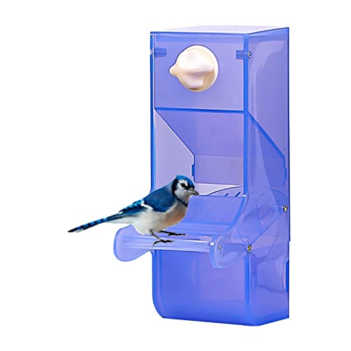Huaxingda Automatischer Vogelfutterspender | transparenter Futterspender für Samen, Spritzwassergeschützter Papageien-Futterspender für drinnen und draußen von Huaxingda