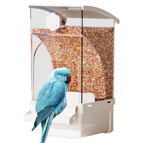 Huayeex Automatischer Vogelfutterleiter, automatischer Vogelfutterleiter für Käfig | Transparenter Lebensmittelbehälter - Behandlungsspender, Käfigzubehör für Cockatiel Cockatoo Canary Conure von Huayeex
