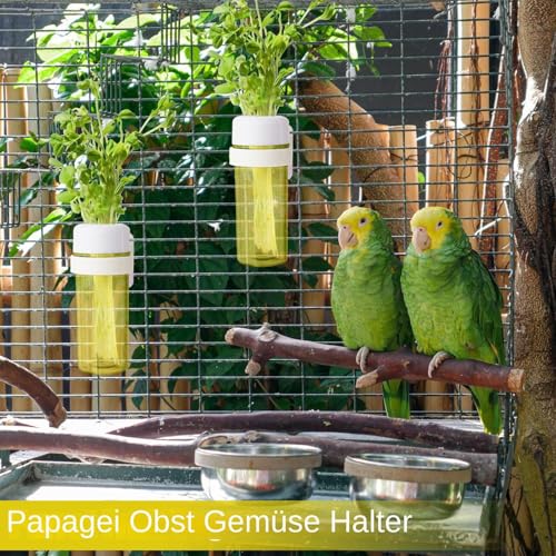 Huayeex Gemüsefutterhalter | Futterspender Im Käfig Mit Wasserspeicher-Design | Vogel Futterbehälter Für Kakadus Finken Nymphensittiche Unzertrennliche Und Mehr von Huayeex