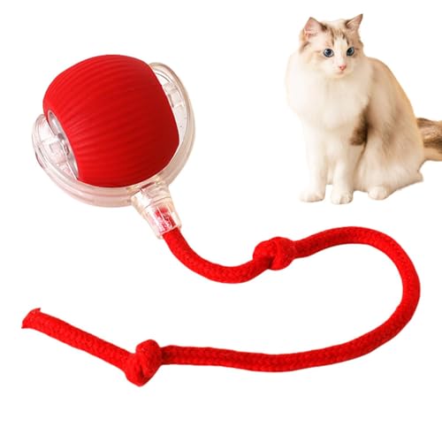 Huayeex Interaktives Katzenball Spielzeug, Katzenspielzeug Elektrisch, Selbstbewegendes Intelligentes Katzenspielzeug, Automatisch Rollender Ball, Stimulieren Sie Den Jagdinstinkt Von Katzen Huayeex Interaktives Katzenball Spielzeug, Katzenspielzeug Elektrisch, Selbstbewegendes Intelligentes Katzenspielzeug, Automatisch Rollender Ball, Stimulieren Sie Den Jagdinstinkt Von Katzen von Huayeex