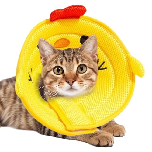 Huayeex Katzenkegel-Halsbänder, schützender Haustier-Halskegel, Wundschutz, verhindert Beißen für große, mittelgroße Welpen, Kätzchen, Tiere Huayeex Katzenkegel-Halsbänder, schützender Haustier-Halskegel, Wundschutz, verhindert Beißen für große, mittelgroße Welpen, Kätzchen, Tiere von Huayeex