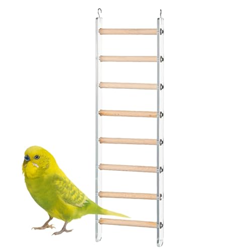 Huayeex Vogelleiter, Vogelleiter für Käfig - Käfigzubehör Klettern Sitzstangen - Flossenleitertrainingspielzeug mit 360 ° -rotierbarer Haken für Cockatiel Conure Selakeet Lovebirds von Huayeex