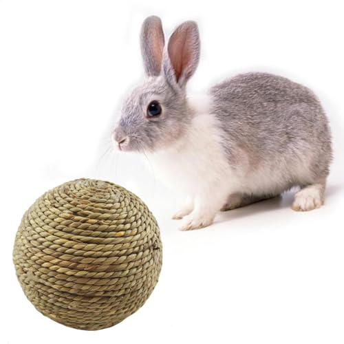 Kaubälle für Kaninchen, für kleine Tiere, natürliches Kauspielzeug, fördert das und Zähneknirschen, für Meerschweinchen, Chinchilla, Katzen, Hamster, Haustierbedarf, 6 cm, 4 Stück Kaubälle für Kaninchen, für kleine Tiere, natürliches Kauspielzeug, fördert das und Zähneknirschen, für Meerschweinchen, Chinchilla, Katzen, Hamster, Haustierbedarf, 6 cm, 4 Stück von Huayeex