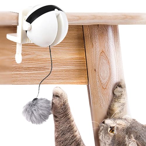 Hudhowks Katzenspielzeugbälle,Hängbares Katzenspielzeug - Automatisches Katzenballspielzeug mit Knopfsteuerung,Interaktives Trainingsspielzeug mit Clip- und Knopfsteuerung – austauschbar für von Hudhowks