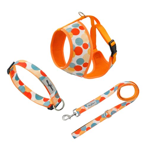 HugSmart Kombi-Set für Hundehalsband, Leine und Geschirr (Halsband, Leine, Geschirr-Kombi-Sets) von HugSmart