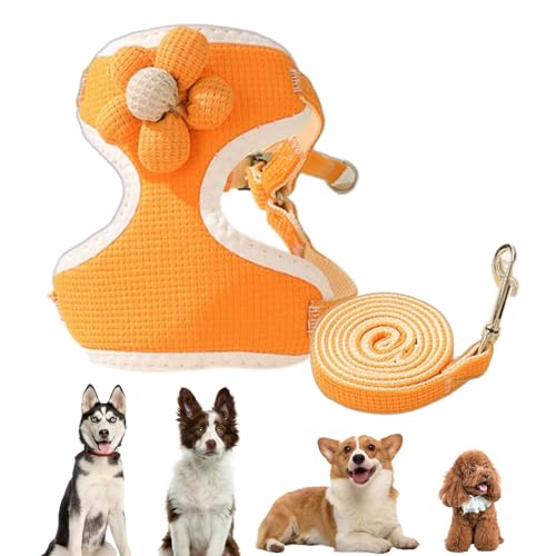 Hugsweet Katzenleinen- und Geschirrset, Katzenwestengeschirr und -leinen | Verstellbare, weiche, elastische Katzengeschirrweste | Ausbruchsicheres multifunktionales Welpengeschirr mit 120 cm Langen Hugsweet Katzenleinen- und Geschirrset, Katzenwestengeschirr und -leinen | Verstellbare, weiche, elastische Katzengeschirrweste | Ausbruchsicheres multifunktionales Welpengeschirr mit 120 cm Langen von Hugsweet