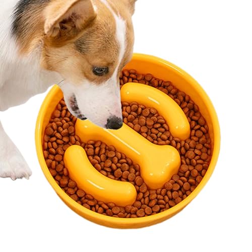 Hugsweet Langsame Schüsselfutter für Hunde, langsame Fütterungshundschüssel | Hundefutter langsame Feeder Bowl - Knochenform interaktiver erhöhter Verschüttungsbeweis Nicht -Slip für Heimtraining von Hugsweet