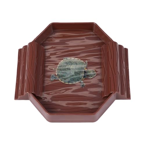 Schildkröten Futter Schüssel - Dekorative Reptilien Futterschale,Terrarium Becken Futterstelle und Badebehälter für Schildkröten Echsen Schlangen Schildkröten Futter Schüssel - Dekorative Reptilien Futterschale,Terrarium Becken Futterstelle und Badebehälter für Schildkröten Echsen Schlangen von Hugsweet