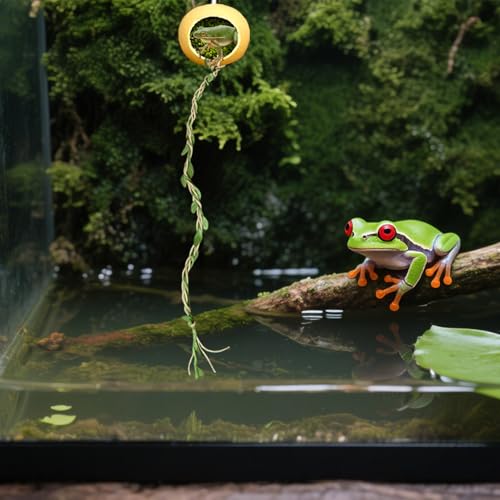 Springspinnen Versteck,Versteck Unterschlupf für Springspinnen - Unterschlupf Und Für Kleine Reptilien von Hugsweet