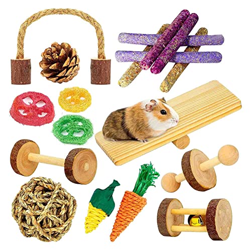 Huhebne Spielzeug, Meerschweinchen Spielzeug, 18 StüCke Spielzeug Set, NatüRliches Apfelholz, Kleintier, Kauspielzeug für ZäHne von Huhebne