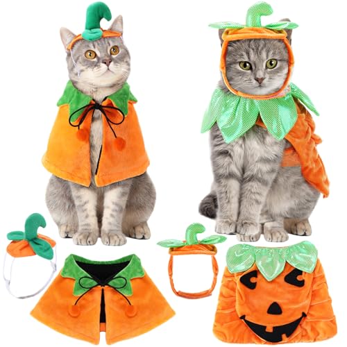 Huhumy 2 Sets Haustier Kürbis Kostüm Katze Halloween Kürbis Umhang Hut Set Kürbis Kostüm für Hund Katze Halloween Kostüme Kürbis Hut für Hunde Welpen Poncho Halloween Cosplay für kleine mittelgroße Huhumy 2 Sets Haustier Kürbis Kostüm Katze Halloween Kürbis Umhang Hut Set Kürbis Kostüm für Hund Katze Halloween Kostüme Kürbis Hut für Hunde Welpen Poncho Halloween Cosplay für kleine mittelgroße von Huhumy