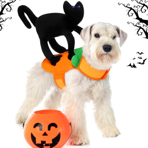 Huhumy Halloween-Kostüm für große Hunde und Katzen, Halloweenanzug mit schwarzer Katze, lustige Haustierkleidung für Welpen, Cosplay, Urlaub, Party, Verkleidungszubehör Huhumy Halloween-Kostüm für große Hunde und Katzen, Halloweenanzug mit schwarzer Katze, lustige Haustierkleidung für Welpen, Cosplay, Urlaub, Party, Verkleidungszubehör von Huhumy