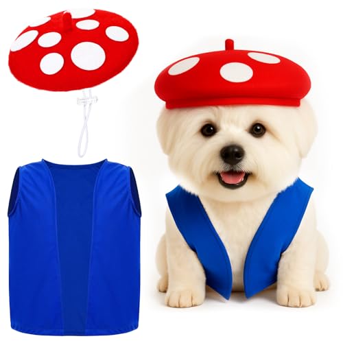 Huhumy Halloween-Pilz-Kostüm-Set, gepunkteter Pilzhut und blaue Weste, lustige Cosplay-Outfits für Halloween-Cosplay-Kostüme von Huhumy
