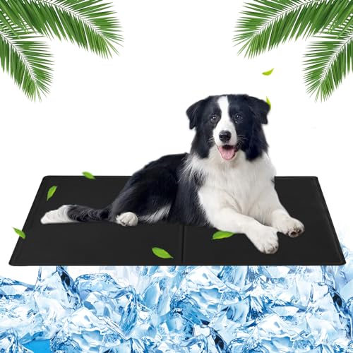 Kühlmatte Hund 65 x 50cm Kühlmatte für Hunde Kühlmatte mit Ungiftiges Gel, Kühlmittel Hund Kühlmatte für Hunde Groß, Kühldecke für Hunde, Selbstkühlend Kühlmatte für Hunde Katzen(Schwarz) Kühlmatte Hund 65 x 50cm Kühlmatte für Hunde Kühlmatte mit Ungiftiges Gel, Kühlmittel Hund Kühlmatte für Hunde Groß, Kühldecke für Hunde, Selbstkühlend Kühlmatte für Hunde Katzen(Schwarz) von Huifengjie