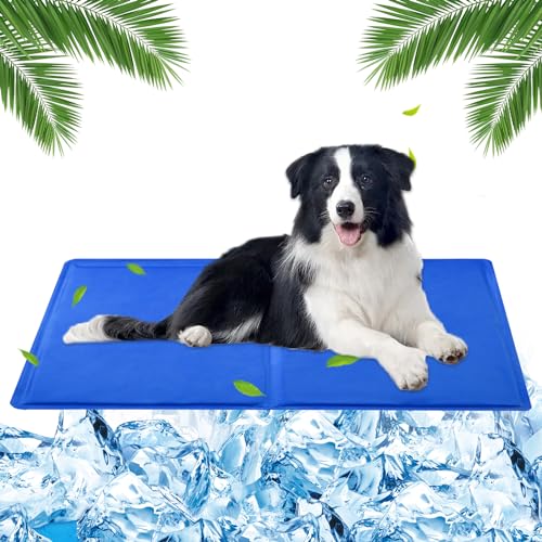 Kühlmatte Hund 65 x 50cm Kühlmatte für Hunde Kühlmatte mit Ungiftiges Gel, Kühlmittel Hund Kühlmatte für Hunde Groß, Kühldecke für Hunde, Selbstkühlend Kühlmatte für Hunde Katzen(Blau) von Huifengjie