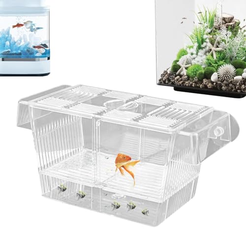 Hujinkan Fischzuchtbox,Transparente Fischisolationsbox für Aquarien | Acryl-Aquarium-Brutkasten für Jungfische, Garnelen, Kampffische und Guppys von Hujinkan
