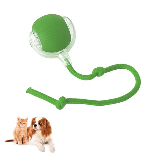 Hulaiyaa Interaktiver Katzen Palla für Katzen, Elektrisch Zwei Farben Katzen Spielzeug Ball, Rolling Smart Interaktives Hune Ball für Katzen, Type C Aufladbar Automatisches Hune Palla mit Schnur Hulaiyaa Interaktiver Katzen Palla für Katzen, Elektrisch Zwei Farben Katzen Spielzeug Ball, Rolling Smart Interaktives Hune Ball für Katzen, Type C Aufladbar Automatisches Hune Palla mit Schnur von Hulaiyaa