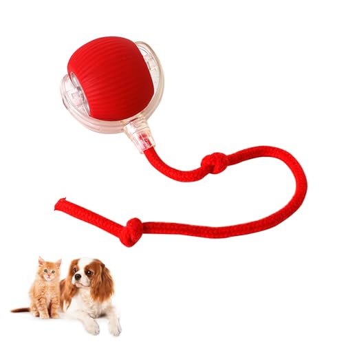 Hulaiyaa Interaktiver Katzen Palla für Katzen, Elektrisch Zwei Farben Katzen Spielzeug Ball, Rolling Smart Interaktives Hune Palla für Katzen, Type C Aufladbar Automatisches Hune Ball mit Schnur Hulaiyaa Interaktiver Katzen Palla für Katzen, Elektrisch Zwei Farben Katzen Spielzeug Ball, Rolling Smart Interaktives Hune Palla für Katzen, Type C Aufladbar Automatisches Hune Ball mit Schnur von Hulaiyaa