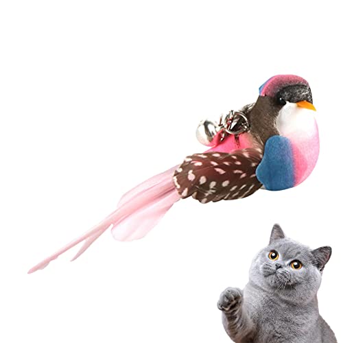 Humdcdy Vogel Katzen Federspielzeug, Lustiges Zwitscherndes Vogel Katzenspielzeug Für Katzen Mit Glocke Für Hauskatzen Die Dem Kauen Und Spielen Nachjagen von Humdcdy