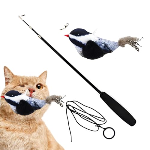 Humkopnl Katzen-Teasing-Stab | Vogelspielzeug, Katzenstab, interaktiver Katzenstab, für den Innenbereich von Humkopnl