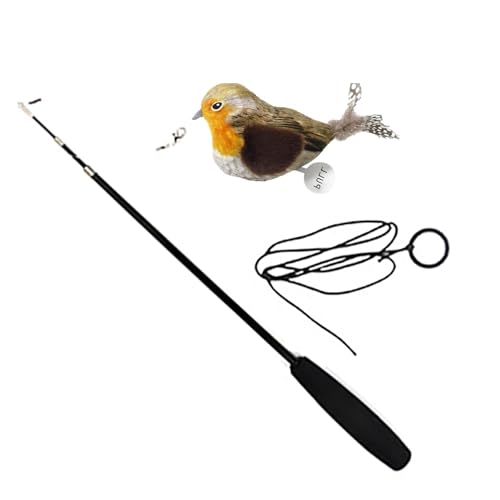 Humkopnl Katzenfederstab – Vogelstab, Feder-Teaser-Spielzeug für Katzen, tragbares interaktives Katzenfederspielzeug, Quietschendes Katzenspielzeug für kleine, mittelgroße Kätzchen, Katzen, Welpen Humkopnl Katzenfederstab – Vogelstab, Feder-Teaser-Spielzeug für Katzen, tragbares interaktives Katzenfederspielzeug, Quietschendes Katzenspielzeug für kleine, mittelgroße Kätzchen, Katzen, Welpen von Humkopnl
