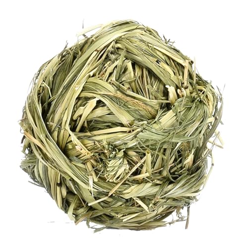 Humkopnl Kleintier-Kauspielzeug – natürliches Gras, gewebt, Haustier-Hasen, Aktivitätsspielzeug, Molarzahnpflege, Leckerli für Kaninchen, Meerschweinchen, Hamster, Ratten, Rennmäuse, Chinchilla Humkopnl Kleintier-Kauspielzeug – natürliches Gras, gewebt, Haustier-Hasen, Aktivitätsspielzeug, Molarzahnpflege, Leckerli für Kaninchen, Meerschweinchen, Hamster, Ratten, Rennmäuse, Chinchilla von Humkopnl