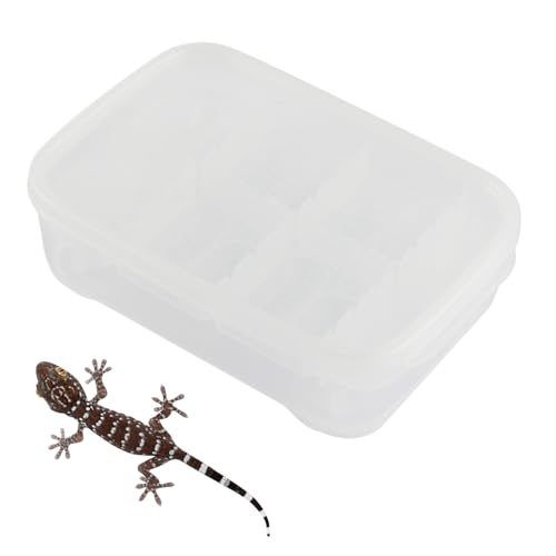 Humkopnl Lizard Tank – 14 Gitter Gecko Schlüpfbox – Reptilienlebensraum Transparente Zuchtbox für Transport Klettern Spinne Skorpion Zuhause Outdoor Frauen Männer Züchter Humkopnl Lizard Tank – 14 Gitter Gecko Schlüpfbox – Reptilienlebensraum Transparente Zuchtbox für Transport Klettern Spinne Skorpion Zuhause Outdoor Frauen Männer Züchter von Humkopnl