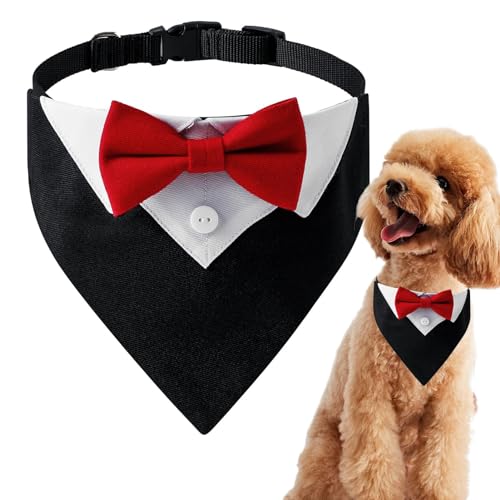 Smokinghalsband für Hunde | Hundehalsband Bandana Fliege – Hundehalsband mit Fliege, atmungsaktiv, verstellbar, formelles Smokinghalsband mit Fliege – Hundehalstuch für Hochzeiten, Partys, Geburtstage Smokinghalsband für Hunde | Hundehalsband Bandana Fliege – Hundehalsband mit Fliege, atmungsaktiv, verstellbar, formelles Smokinghalsband mit Fliege – Hundehalstuch für Hochzeiten, Partys, Geburtstage von Humkopnl