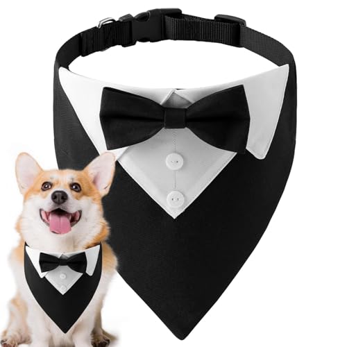 Smokinghalsband für Hunde | Hundehalsband Bandana Fliege – Hundehalsband mit Fliege, atmungsaktiv, verstellbar, formelles Smokinghalsband mit Fliege – Hundehalstuch für Hochzeiten, Partys, Geburtstage Smokinghalsband für Hunde | Hundehalsband Bandana Fliege – Hundehalsband mit Fliege, atmungsaktiv, verstellbar, formelles Smokinghalsband mit Fliege – Hundehalstuch für Hochzeiten, Partys, Geburtstage von Humkopnl