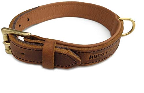 Lederhalsband für Hunde, Fettleder Hundehalsband gepolstert, Echtleder, Cognac Messing Gr. 60 von Hund natürlich