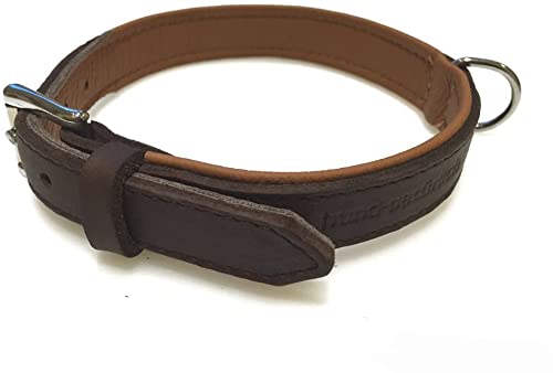 Lederhalsband für Hunde, Fettleder Hundehalsband gepolstert, Echtleder, braun Chrom Gr. 35 Lederhalsband für Hunde, Fettleder Hundehalsband gepolstert, Echtleder, braun Chrom Gr. 35 von Hund natürlich