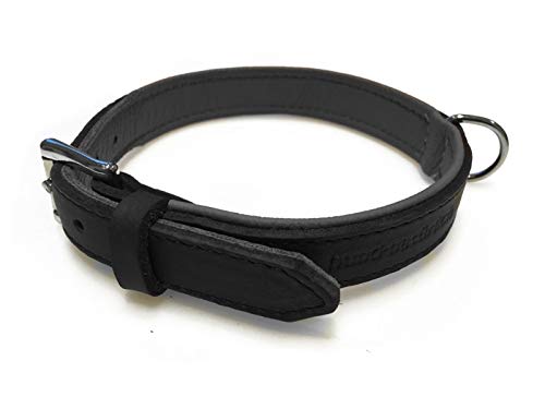 Lederhalsband für Hunde, Fettleder Hundehalsband gepolstert, Echtleder, schwarz Chrom Gr. 40 Lederhalsband für Hunde, Fettleder Hundehalsband gepolstert, Echtleder, schwarz Chrom Gr. 40 von Hund natürlich