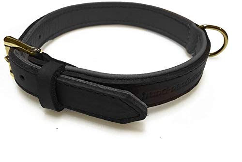 Lederhalsband für Hunde, Fettleder Hundehalsband gepolstert, Echtleder, schwarz Messing Gr. 40 Lederhalsband für Hunde, Fettleder Hundehalsband gepolstert, Echtleder, schwarz Messing Gr. 40 von Hund natürlich