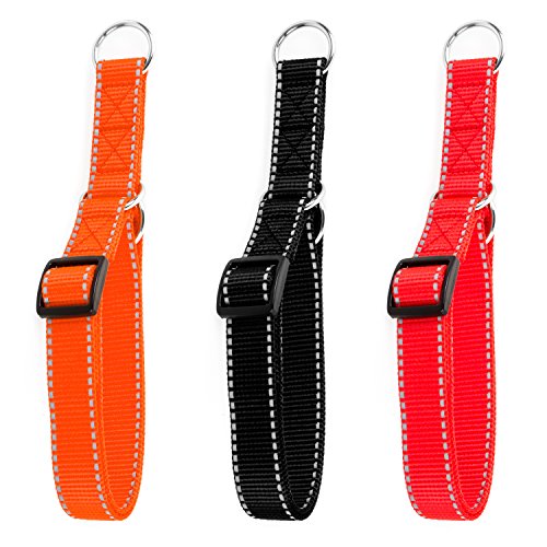 Hunde Design Reflektor Dressurhalsband mit Stoppring Orange 24-34cm / 20mm von Hunde Design