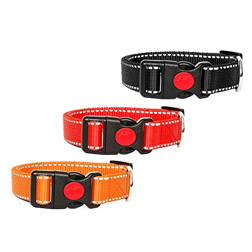 Hundehalsband Reflektierend Rot 24-34cm / 25mm von Hunde Design