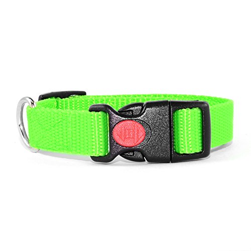 Neon Grün Hundehalsband 34-54cm Neon Grün Hundehalsband 34-54cm von Hunde Design