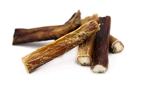 BREERs Getrocknete Ochsenziemer 12 cm für Hunde 250g eigene deutsche Herstellung | Hundeleckerli Kaustange Hundesnack für große, kleine Hunde & Welpen | Kauartikel reinigt und stärkt das Gebiss BREERs Getrocknete Ochsenziemer 12 cm für Hunde 250g eigene deutsche Herstellung | Hundeleckerli Kaustange Hundesnack für große, kleine Hunde & Welpen | Kauartikel reinigt und stärkt das Gebiss von Hunde Helden