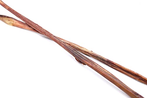 BREERs Getrocknete Ochsenziemer 80-90 cm für Hunde 3 Stück eigene deutsche Herstellung | Hundeleckerli Kaustange Hundesnack für große, kleine Hunde & Welpen | Kauartikel reinigt und stärkt das Gebiss BREERs Getrocknete Ochsenziemer 80-90 cm für Hunde 3 Stück eigene deutsche Herstellung | Hundeleckerli Kaustange Hundesnack für große, kleine Hunde & Welpen | Kauartikel reinigt und stärkt das Gebiss von Hunde Helden