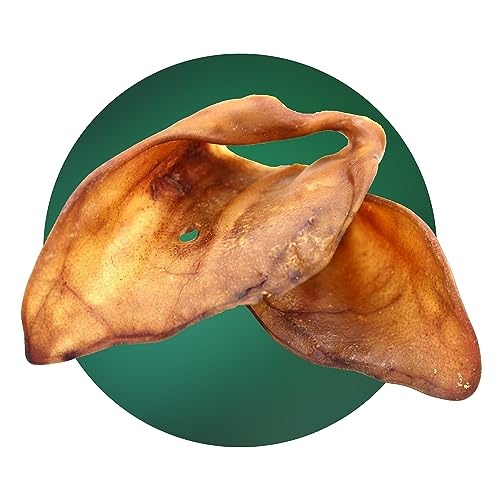 BREERs Getrocknete Schweineohren XXL für Hunde 10 Stück aus eigener Deutscher Herstellung, Kauartikel für Groß & Klein, Kauartikel aus Schwein, Hundeleckerli getreidefrei, Kausnack, Leckerli Hund BREERs Getrocknete Schweineohren XXL für Hunde 10 Stück aus eigener Deutscher Herstellung, Kauartikel für Groß & Klein, Kauartikel aus Schwein, Hundeleckerli getreidefrei, Kausnack, Leckerli Hund von Hunde Helden