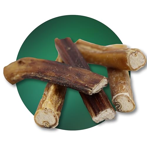 BREERs Getrocknete Ochsenziemer 20 cm für Hunde 2 Kg eigene deutsche Herstellung | Hundeleckerli Kaustange Hundesnack für große, kleine Hunde & Welpen | Kauartikel reinigt und stärkt das Gebiss BREERs Getrocknete Ochsenziemer 20 cm für Hunde 2 Kg eigene deutsche Herstellung | Hundeleckerli Kaustange Hundesnack für große, kleine Hunde & Welpen | Kauartikel reinigt und stärkt das Gebiss von Hunde Helden