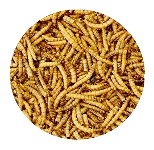 Mehlwürmer 8 Kg Snack für Vögel, Fische, Reptilien, Schildkröten, Igel, Nager, Wildtierfutter von TIER HELDEN