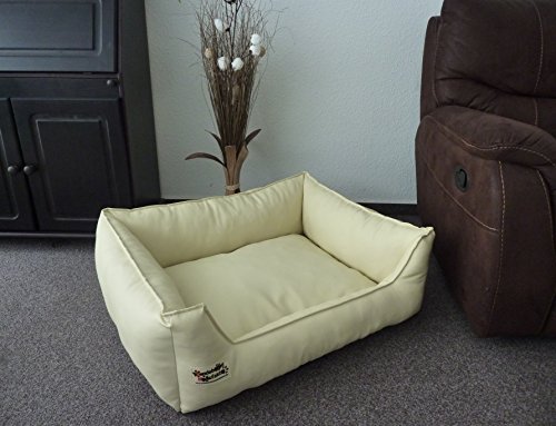 Hundebett Hundesofa Schlafplatz Kunstleder Similpelle 70 cm X 55 cm Creme Hundebett Hundesofa Schlafplatz Kunstleder Similpelle 70 cm X 55 cm Creme von Hundebettenmanufaktur